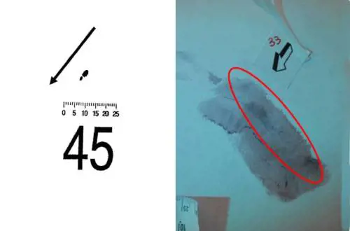 Una "goccia di sangue" sotto l'impronta 33. Cosa sappiamo della "Traccia 45"
