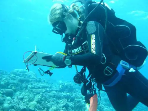 Strage di sub alle Maldive, il mistero delle bombole: cosa c’entra il Nitrox e quando diventa pericoloso