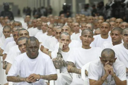 Cos’è la MS13, la gang accusata dell’omicidio del 22enne a Milano Certosa