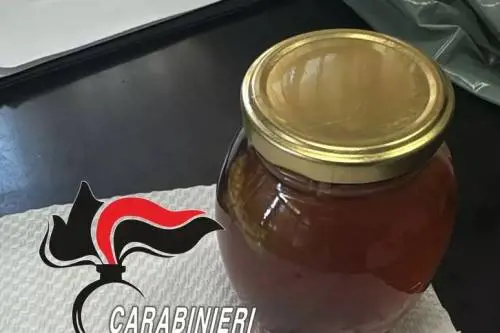 17enne lotta tra la vita e la morte dopo aver assunto del "miele da sballo": di cosa si tratta e quali sono i rischi