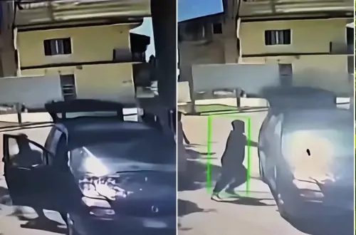 Braccianti bruciati vivi, un sopravvissuto: "Ho visto l'orrore, è mafia del Pakistan"