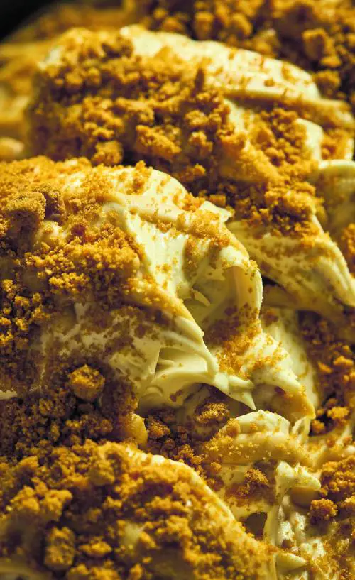 I gusti dell'estate: speculoos stracciatelle e botaniche