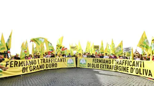 "Giù le mani da grano e olio". Coldiretti contro le speculazioni