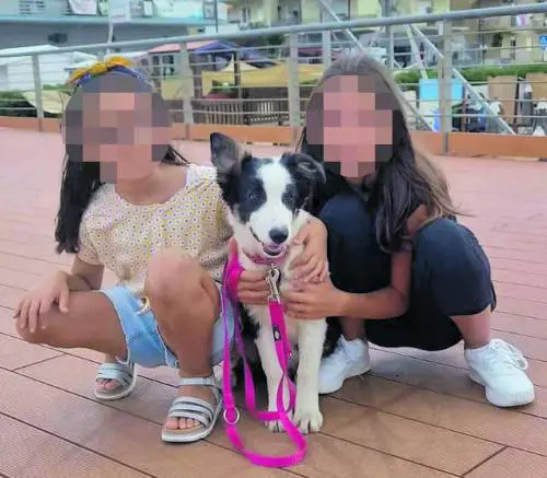 Faida tra ex, 10 schede sim e il piano nato in "famiglia". Ecco la rete per farle sparire