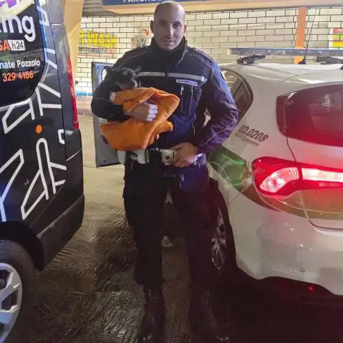 "Indossare la divisa non è solo un lavoro, è una responsabilità": chi era Francesco Imprezzabile