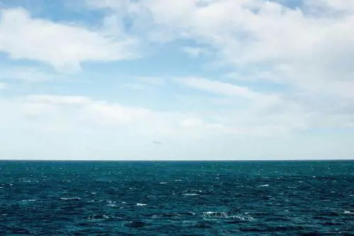 Allarme in mare, il caldo fa proliferare il batterio Vibrio: i rischi per i bagnanti