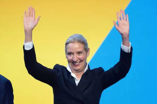 L'AfD lancia la sfida: "Guariremo noi la Germania"