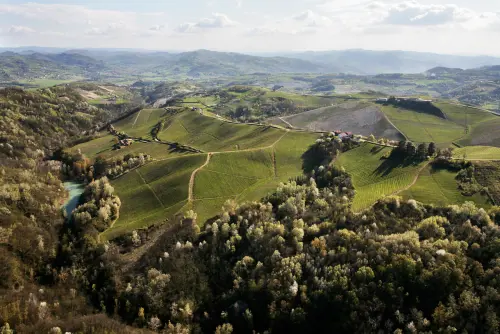 ilGolosario fotografa il turismo del vino