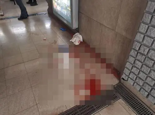 Bignami: "Espulsione immediata", Donzelli: "Se vieni in Italia le donne le rispetti". Le reazioni politiche dopo l'aggressione al volto di una ragazza a Milano