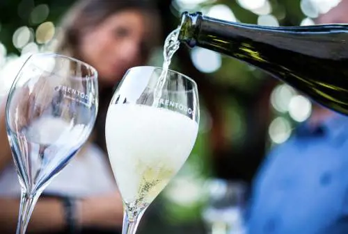 Trento doc Festival, una montagna di vino