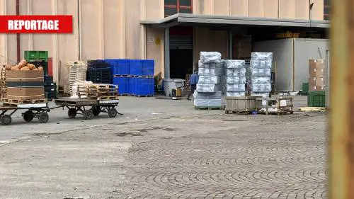 Lo scandalo della coop rossa: chiede i soldi ai lavoratori per risanare i debiti