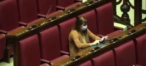 In Parlamento con la mascherina per proteggersi dal virus