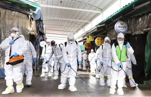Gli 007 a caccia dell'origine dell'epidemia