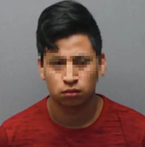 Usa, 17enne violenta e mette incinta una parente di 11 anni