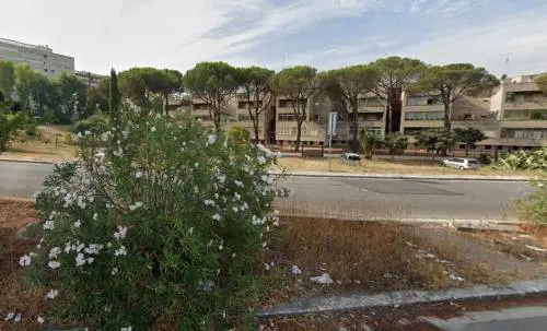 Bullismo all’Eur, ragazzine pestano coetanea per soldi: arrestata 18enne
