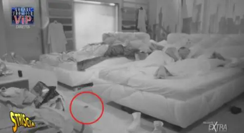 Gf Vip, un topo gironzola nella Casa