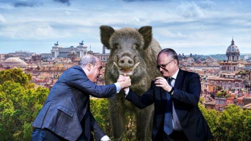 Come i cinghiali stanno sconfiggendo Gualtieri e Zingaretti