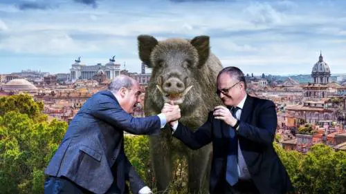 Come i cinghiali stanno sconfiggendo Gualtieri e Zingaretti