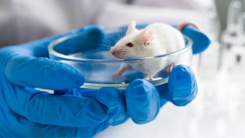 “Creato un nuovo virus killer dal Covid”. Ma è giallo sulla ricerca