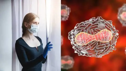 Vaiolo delle scimmie, scatta la quarantena stile Covid