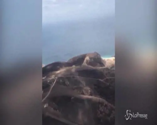 Australia, la devastazione dei roghi dall'alto