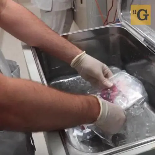 Trapianto staminali sbagliato al San Martino di Genova: offerto risarcimento di 10mila euro