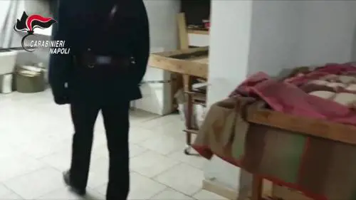 Pane e carciofi sequestrati a Napoli: le condizioni in cui versavano i forni