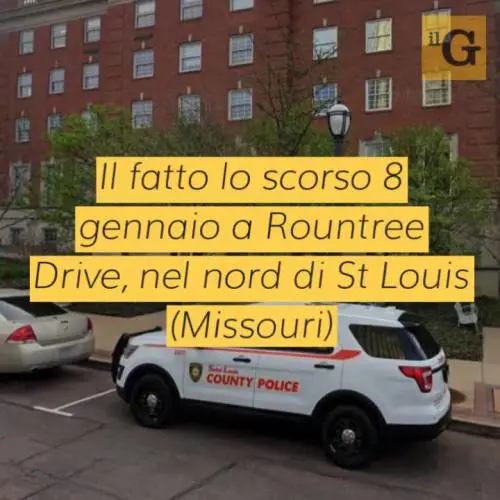 Madre partorisce due gemelli e li soffoca con un asciugamano: choc negli Usa