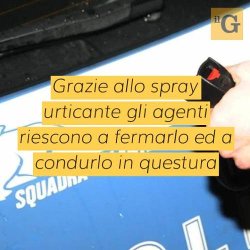 Rapina alla Coin e aggressione contro i poliziotti: gambiano arrestato a Padova