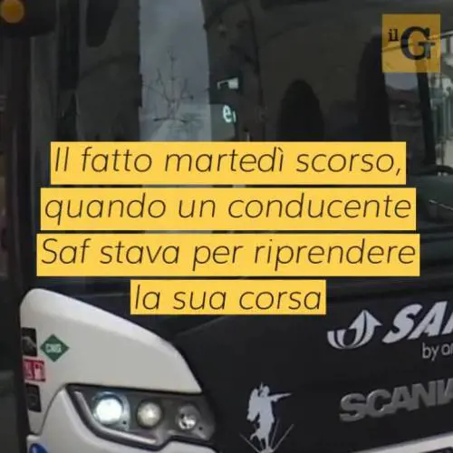 Violenza a bordo della corriera: giovani ubriachi denunciati dopo aggressione ad autista