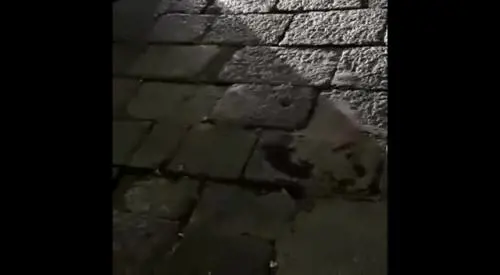 Il video degli autobus bloccati dalla sosta selvaggia