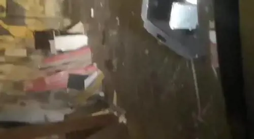L'invasione di topi sotto la casa di Totò