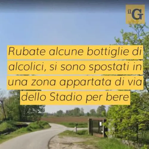 Prima il furto di alcolici poi le botte ai carabinieri: nordafricani subito liberi