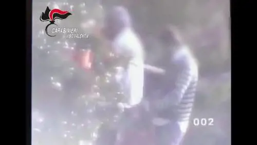 L'operazione dei carabinieri contro la 'ndrina Pardea-Rainisi