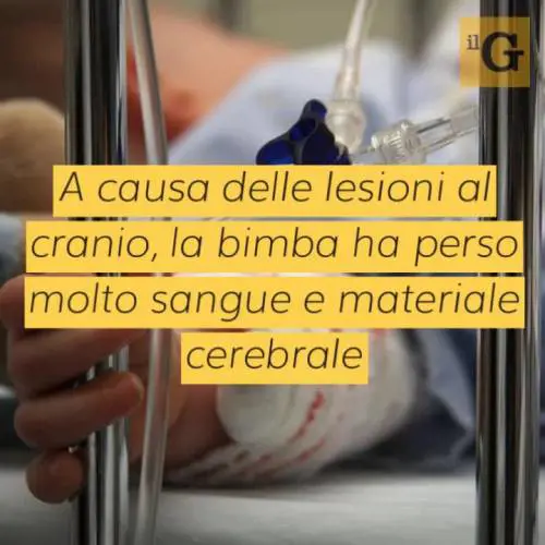 Dramma a Fermo, cane pitbull azzanna alla testa bimba di 6 mesi, ora in Rianimazione