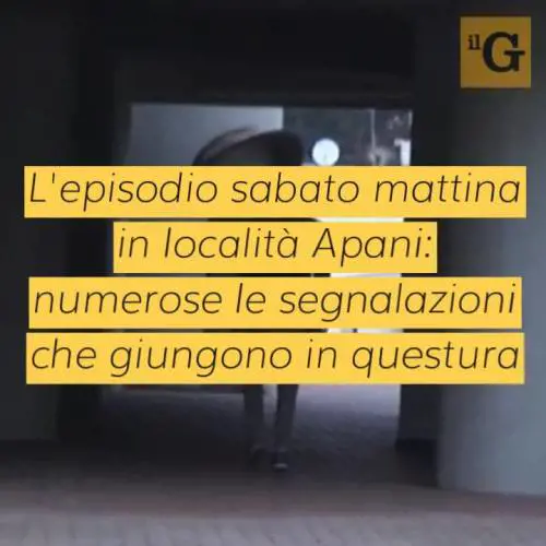 Col machete in mezzo alla strada, poi lo rivolge contro gli agenti: fermato ghanese