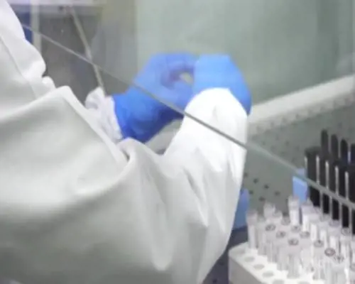 Dentro il laboratorio di Pavia dove si ricerca una cura contro il Covid: "Colpiremo il virus lì dove gli faremo più male"