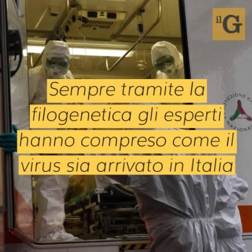 Coronavirus, scienziati tracciano la sua storia: ci sono 3 ceppi, in Europa il C 