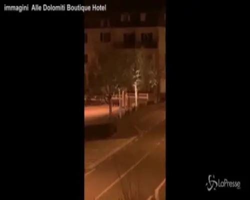 Trentino, nella notte un orso cammina a Molveno