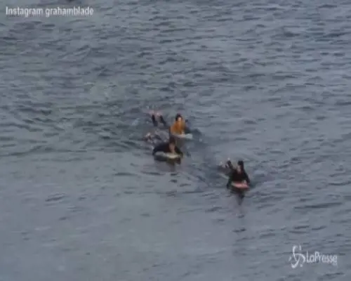 Surfista morso da uno squalo, le immagini dell'attacco
