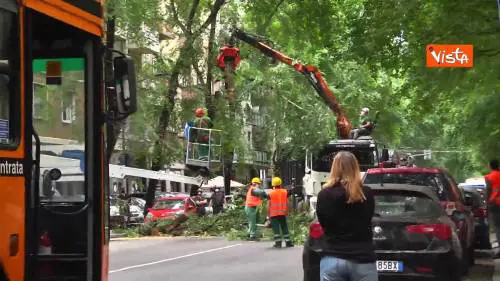 Cadono i rami in Largo Porto di Classe a Milano, bloccato filobus