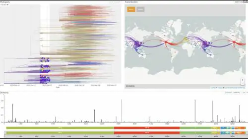 La diffusione del Covid-19 nel mondo