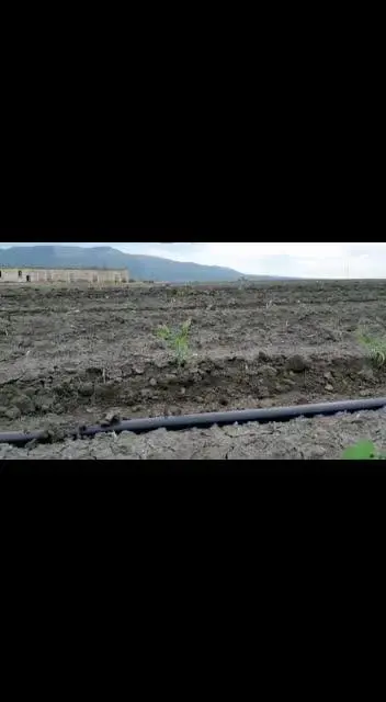 La meccanizzazione in agricoltura