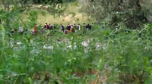 Il cittadino arrabbiato: "Guardate i migranti..."