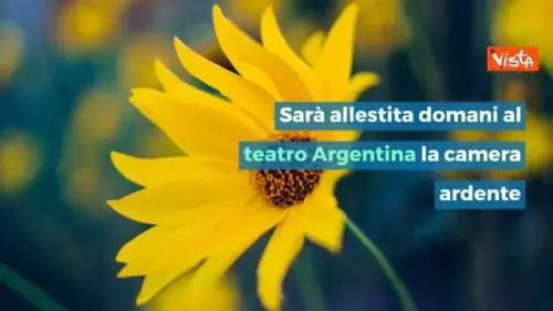 INFOGRAFICA È morta l'attrice Franca Valeri, aveva appena compiuto 100 anni