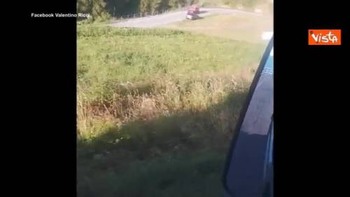 Incidente stradale sulle montagne del Cuneese, 5 morti