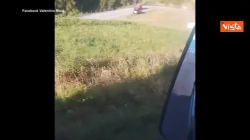 Incidente stradale sulle montagne del Cuneese, 5 morti