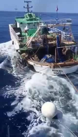 Inseguimento tra motovedetta della Gdf e peschereccio tunisino: spari in mare