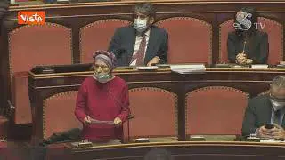 Bonino alla Lega: “Il senato non è uno stadio. Onorate le istituzioni!”