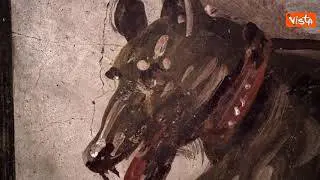 Scoperte a Pompei, Franceschini: "L'Italia continua a costruire storie di riscatto"